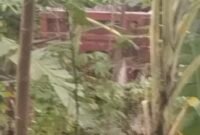 filter: 0; fileterIntensity: 0.0; filterMask: 0; brp_mask:0;
brp_del_th:null;
brp_del_sen:null;
delta:null;
module: photo;hw-remosaic: false;touch: (-1.0, -1.0);sceneMode: 32768;cct_value: 0;AI_Scene: (-1, -1);aec_lux: 0.0;aec_lux_index: 0;albedo:  ;confidence:  ;motionLevel: -1;weatherinfo: null;temperature: 46;