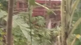 filter: 0; fileterIntensity: 0.0; filterMask: 0; brp_mask:0;
brp_del_th:null;
brp_del_sen:null;
delta:null;
module: photo;hw-remosaic: false;touch: (-1.0, -1.0);sceneMode: 32768;cct_value: 0;AI_Scene: (-1, -1);aec_lux: 0.0;aec_lux_index: 0;albedo:  ;confidence:  ;motionLevel: -1;weatherinfo: null;temperature: 46;