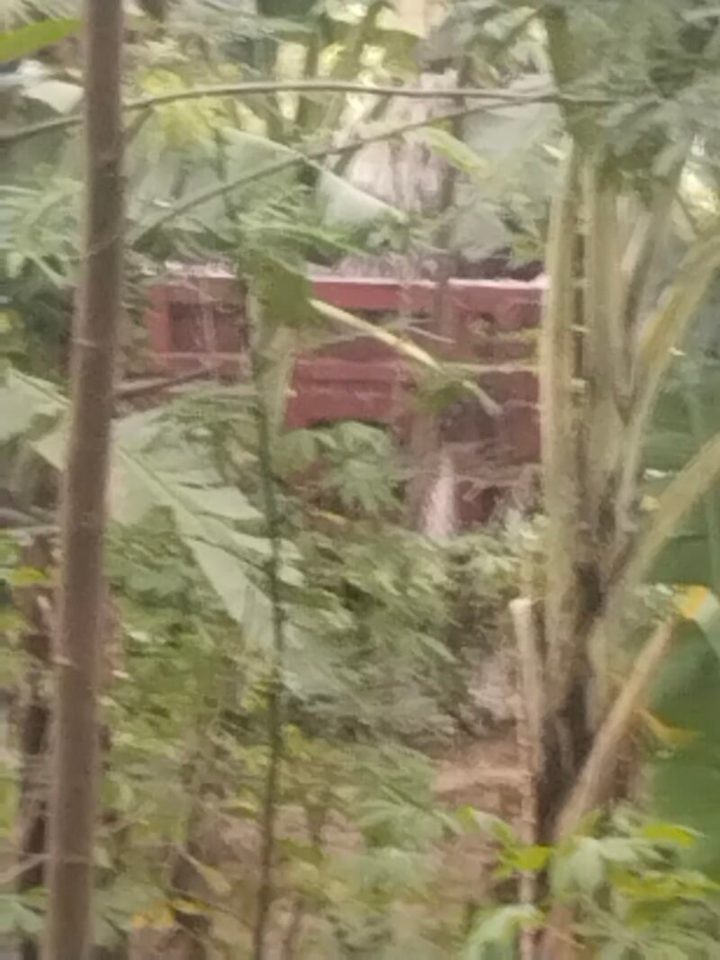 filter: 0; fileterIntensity: 0.0; filterMask: 0; brp_mask:0;
brp_del_th:null;
brp_del_sen:null;
delta:null;
module: photo;hw-remosaic: false;touch: (-1.0, -1.0);sceneMode: 32768;cct_value: 0;AI_Scene: (-1, -1);aec_lux: 0.0;aec_lux_index: 0;albedo:  ;confidence:  ;motionLevel: -1;weatherinfo: null;temperature: 46;