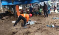 Kandang Ayam Ambruk di Wonosari, Satu Pekerja Tewas dan Satu Masih Dicari Lo